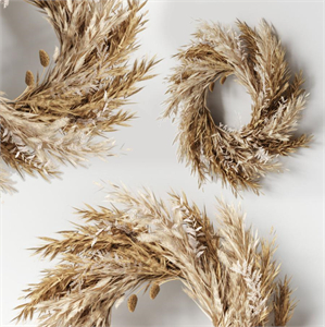 Pampas wall decor-02